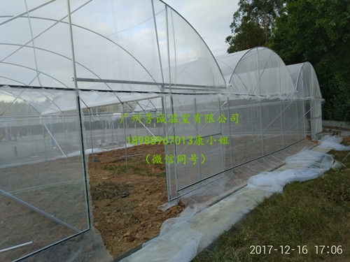 防虫网室工程案例-广州芳诚温室公司建造